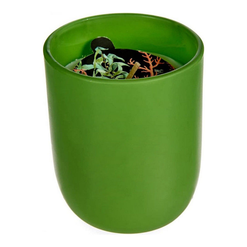 Lumânare parfumată, "Paradisul oriental" verde (7 x 8 x 7 cm)