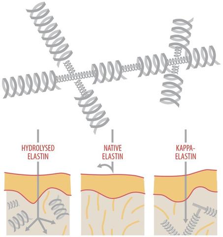 K'Derm Global Premium Lifter Serum Anti-Îmbătrânire cu Kappa-Elastin, Acid hialuronic, Lightderm și Perle Glycofilm, 30 ml