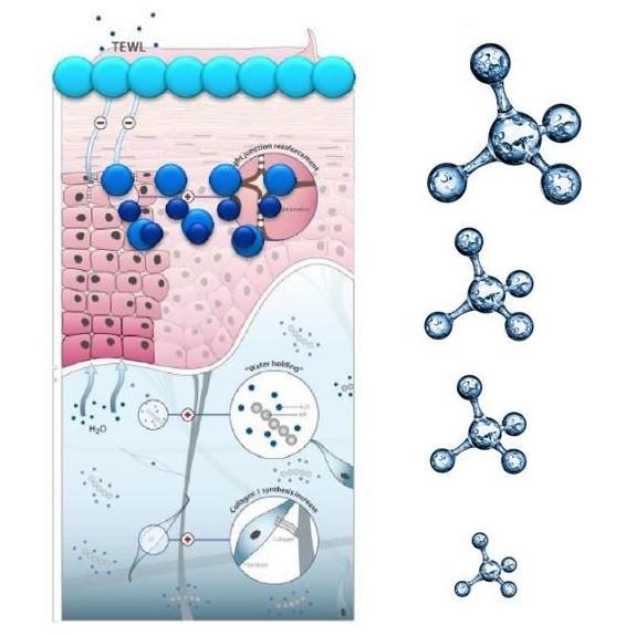 BOHO HydraSerum Serum de față cu 4 mase diferite de molecule de acid hialuronic, 30ml - Galeria de Bijuterii