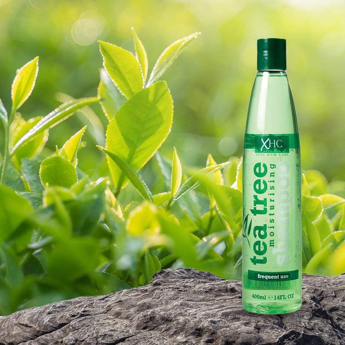 Șampon de păr cu Extract de Arbore de Ceai- 400 ml