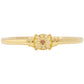 Set din Argint 925 Placat cu Aur ( 3.73 grame ) cu Diamant Roșu 0.02 Carate ( Cercei+Inel )
