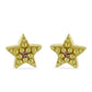 Cercei din Argint 925 Placat cu Aur ( 0.63 grame ) cu Diamant de culoarea Șampaniei 0.01 Carate